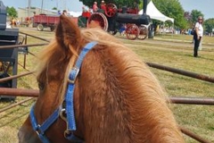 377932466_829820145210147_5676100974362969336_n