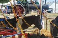 378072879_676814607389214_7627333992058859241_n