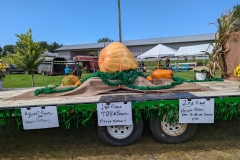 PXL_20220911_161515469